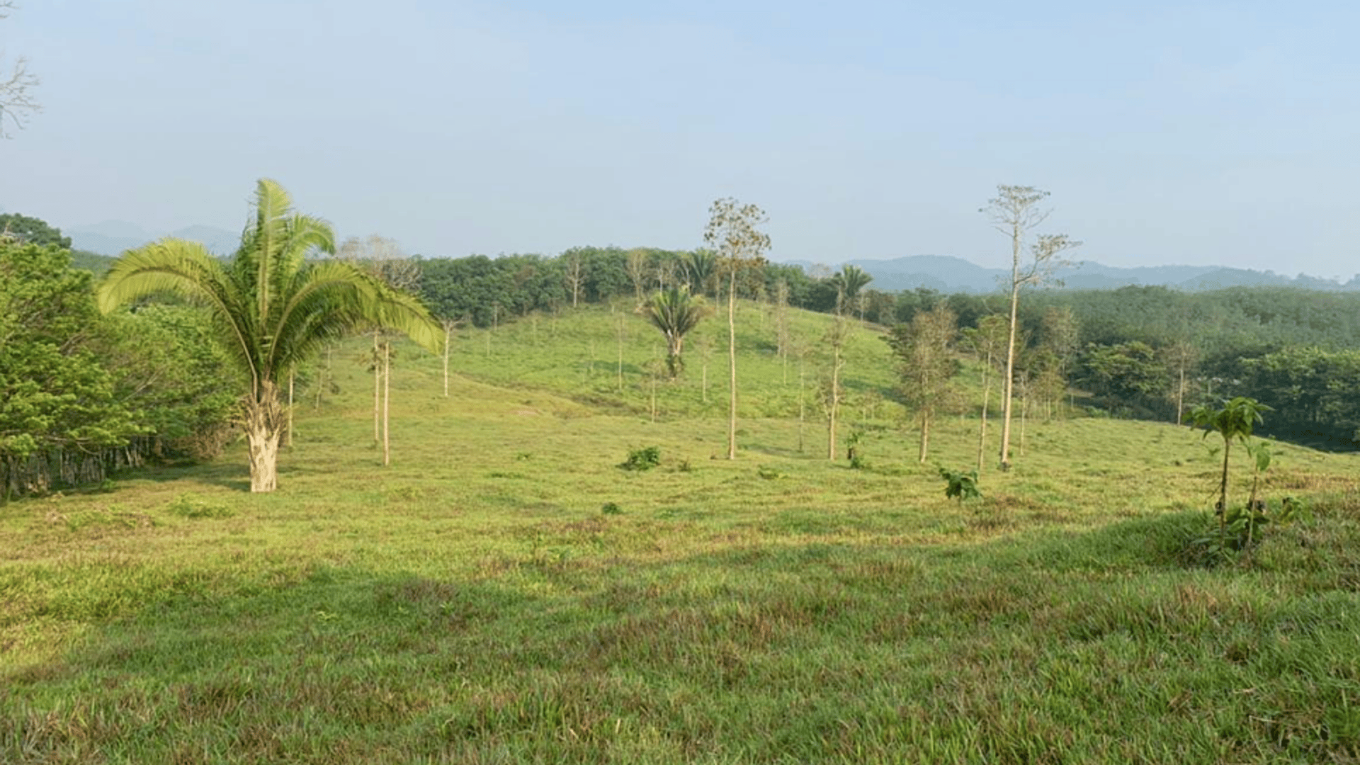 Finca en VENTA en  Municipio Nuevo Chahal, Alta Verapaz - Miniatura 4