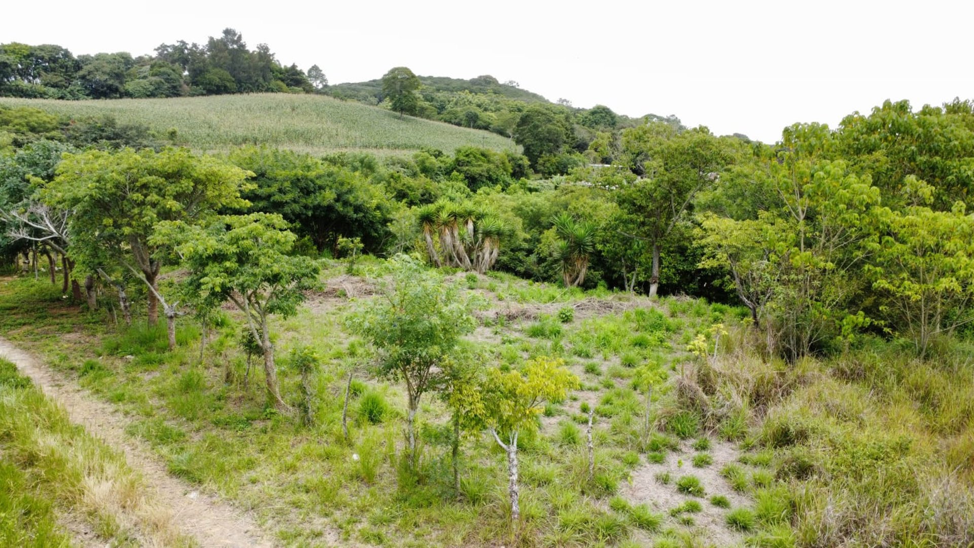 Terreno en Venta a orilla de carretera en zona 18