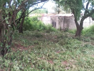 Terreno Grande en Venta Cataratas de Uxmel, Masagua - 5