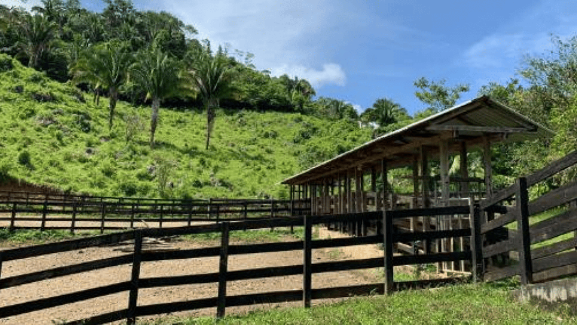 Finca en VENTA en  Municipio Nuevo Chahal, Alta Verapaz - Miniatura 11