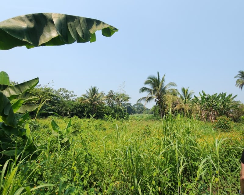 En Venta finca +40Mil Varas en el Km. 78 Ruta CA-2