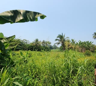 En Venta finca +40Mil Varas en el Km. 78 Ruta CA-2