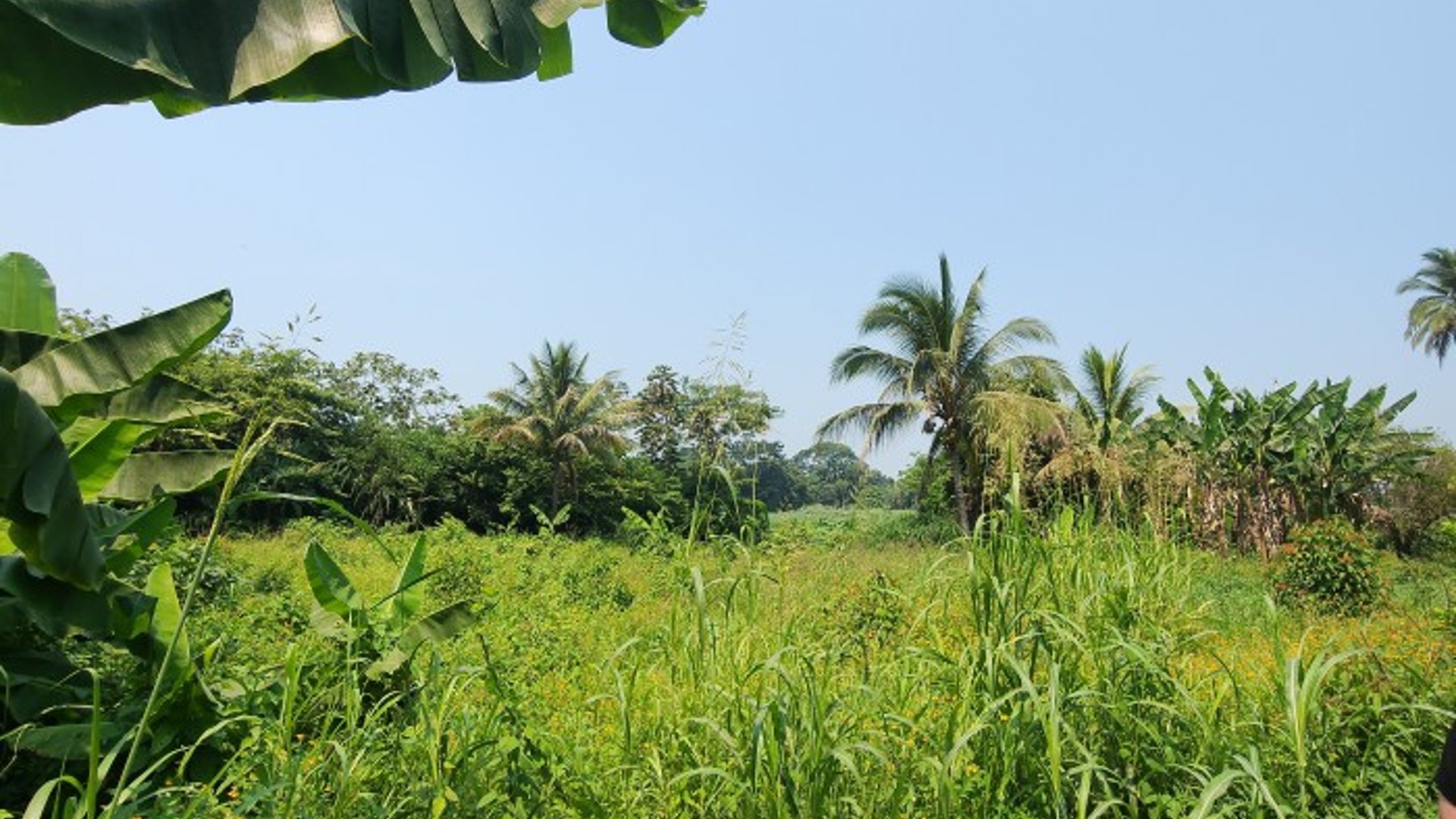 En Venta finca +40Mil Varas en el Km. 78 Ruta CA-2