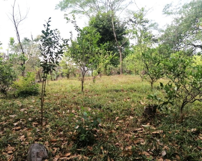 Terreno en Venta en Quintas Vallarta Escuintla