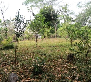 Terreno en Venta en Quintas Vallarta Escuintla