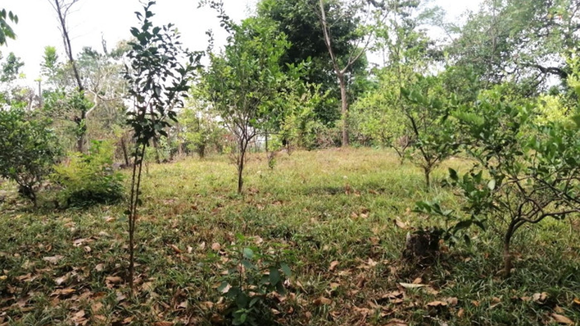 Terreno en Venta en Quintas Vallarta Escuintla