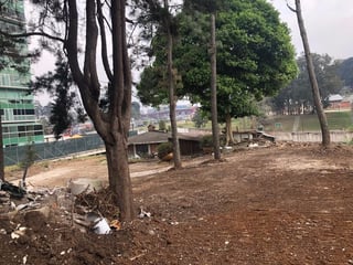 Alquiler de terreno al lado de edificio scena, CES - 4