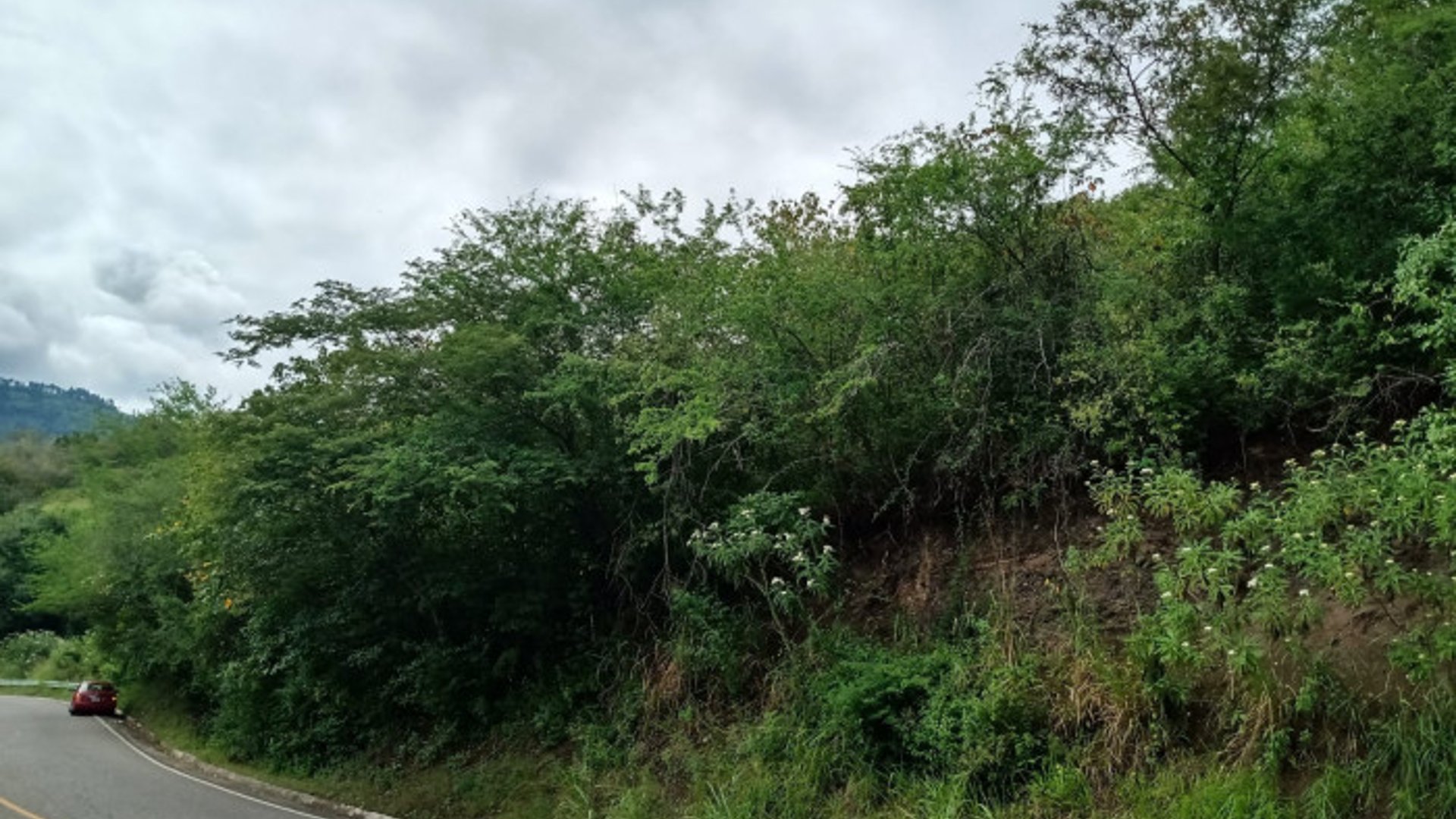 Terreno en Venta  en Sanarate, El Progreso - Miniatura 6