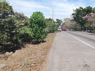 APROVECHE 6.42 MANZANAS A ORILLA AUTOPISTA A PUERTO QUETZAL!!! - 2