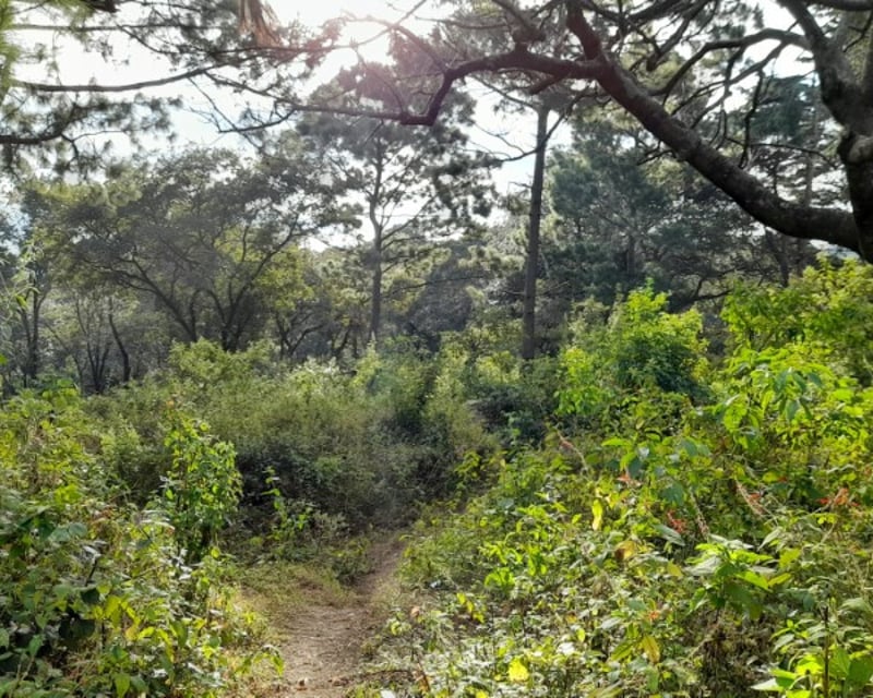 Terreno en Venta San Lucas Sacatepéquez, Guatemala