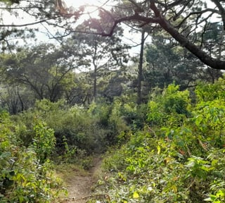 Terreno en Venta San Lucas Sacatepéquez, Guatemala
