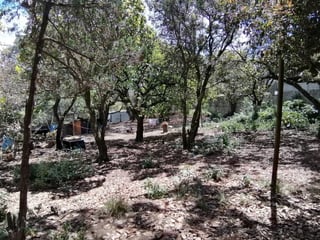 Finca en venta en San Lucas Sacatepéquez - 5