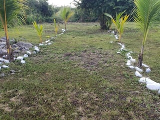 Quintas la Ponderosa lote en venta km 77 Escuintla - 5