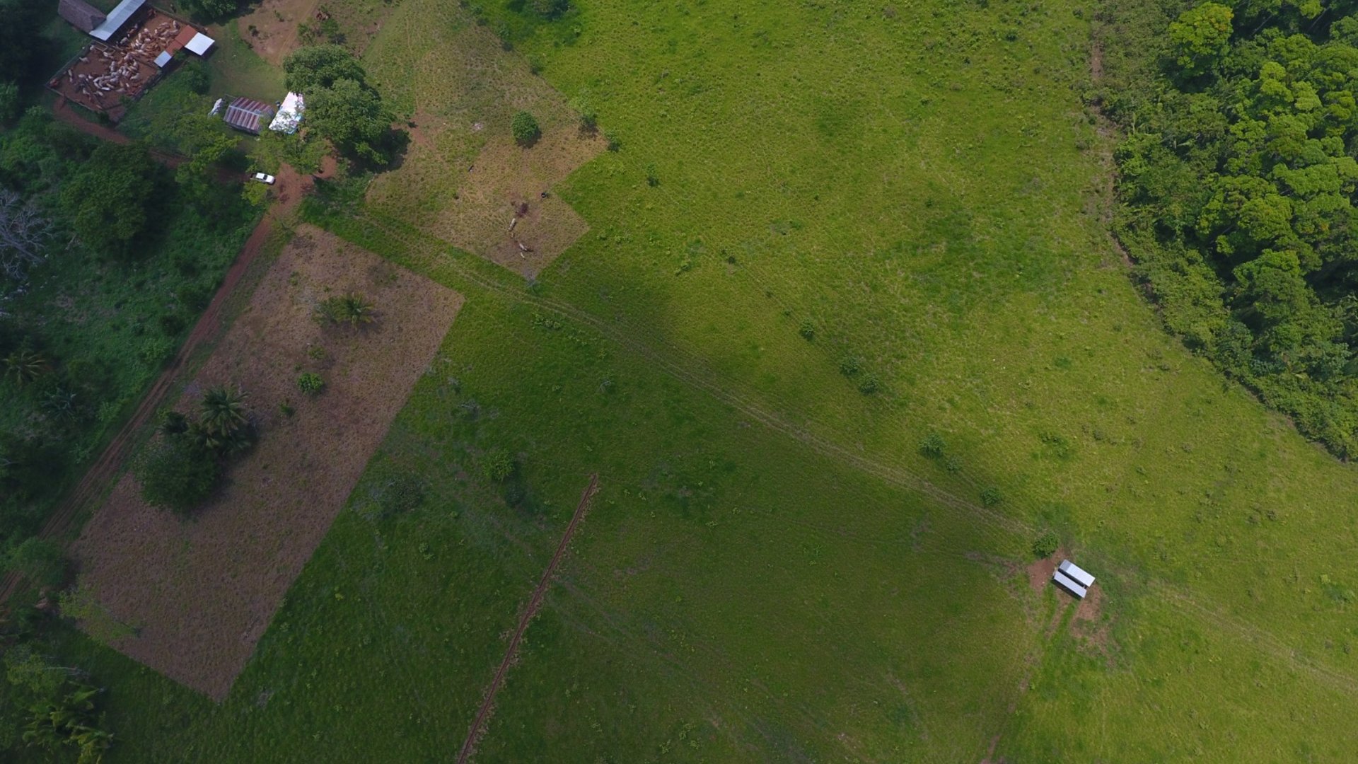 FINCA EN VENTA EN ALTA VERAPAZ