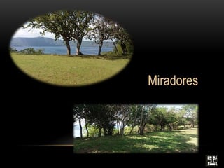 TERRENO EN VENTA EN MANAGUA, NICARAGUA, LAGUNA DE APOYO - Image 9