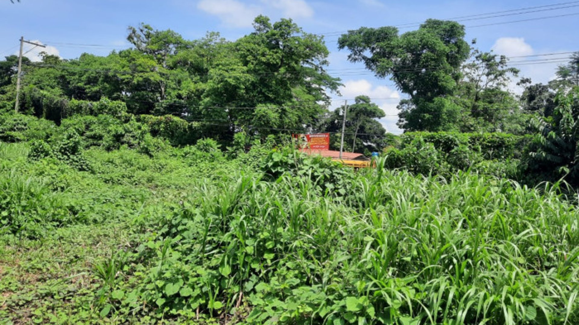 Terreno en Venta a Orilla de Calle en Coatepeque