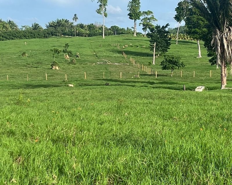 Finca en Venta – San José, Petén