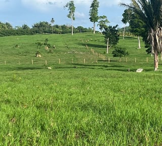 Finca en Venta – San José, Petén