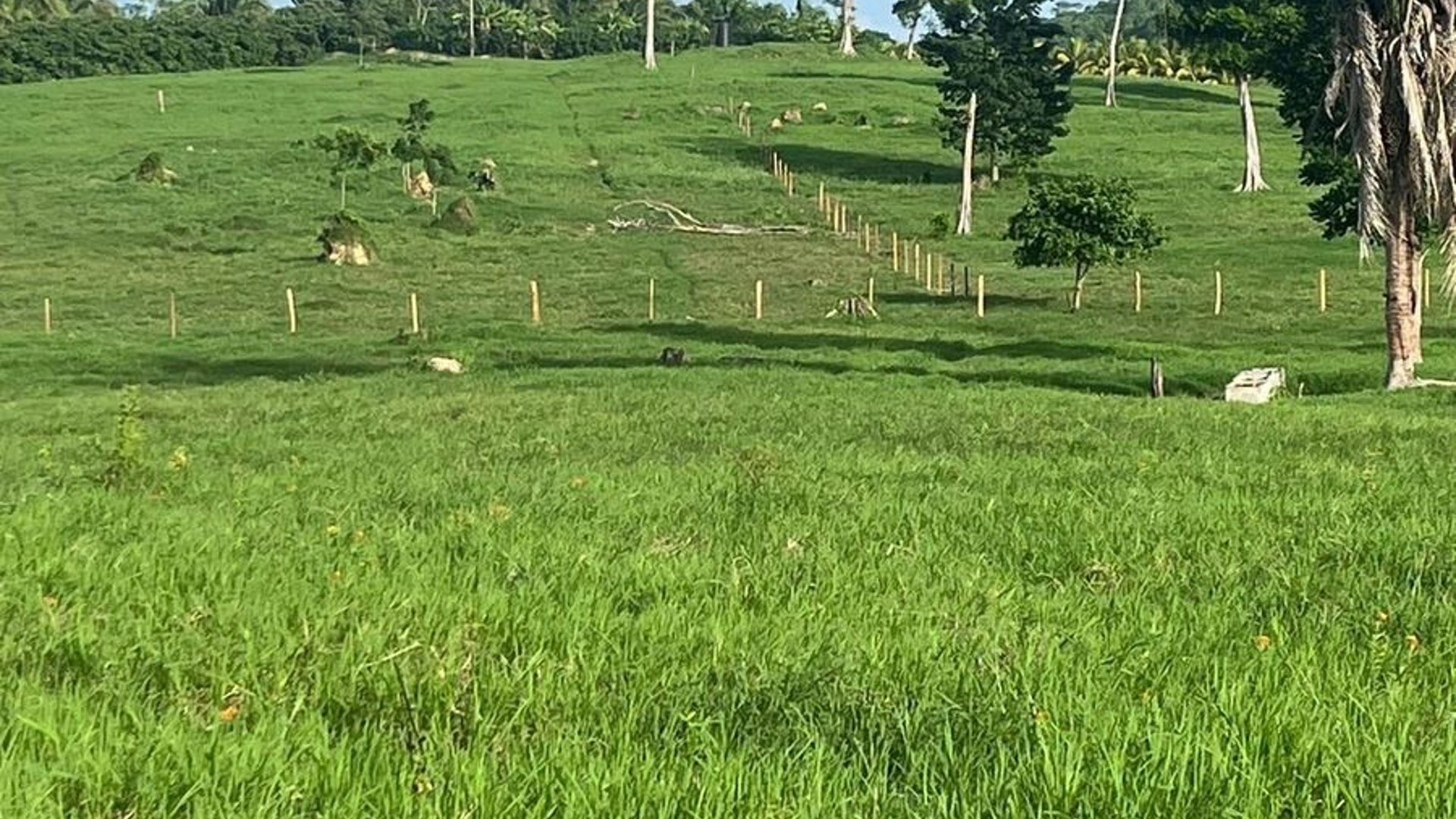 Finca en Venta – San José, Petén