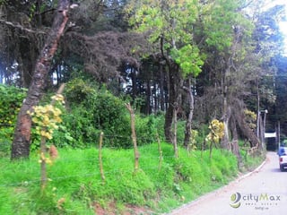 TERRENO EN RENTA EN SAN LUCAS SACATEPEQUEZ - 3
