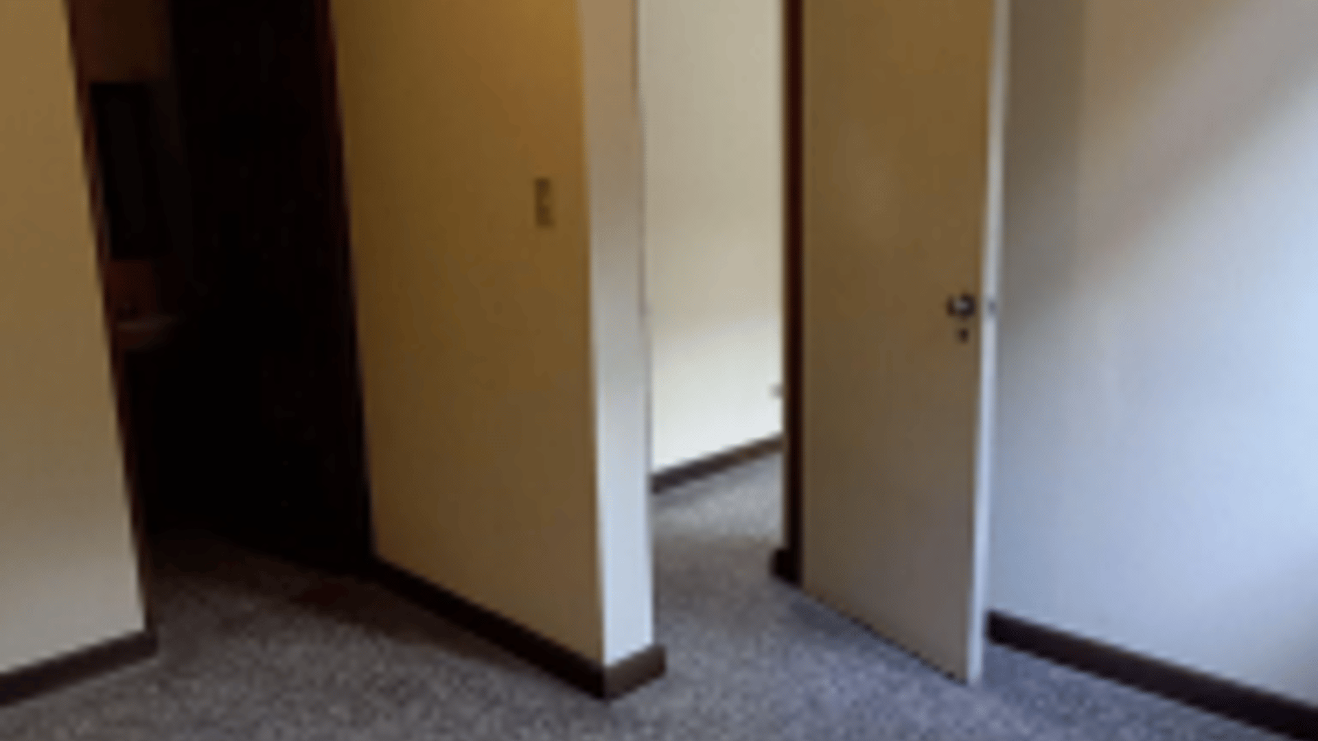 Casa en Renta zona 14 - excelente ubicación - Miniatura 10