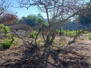 Terreno en Venta Camino a Monterrico  Taxisco, Santa Rosa - 4