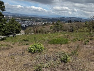 Terreno en renta en Zona 16, camino al Pulte - 5