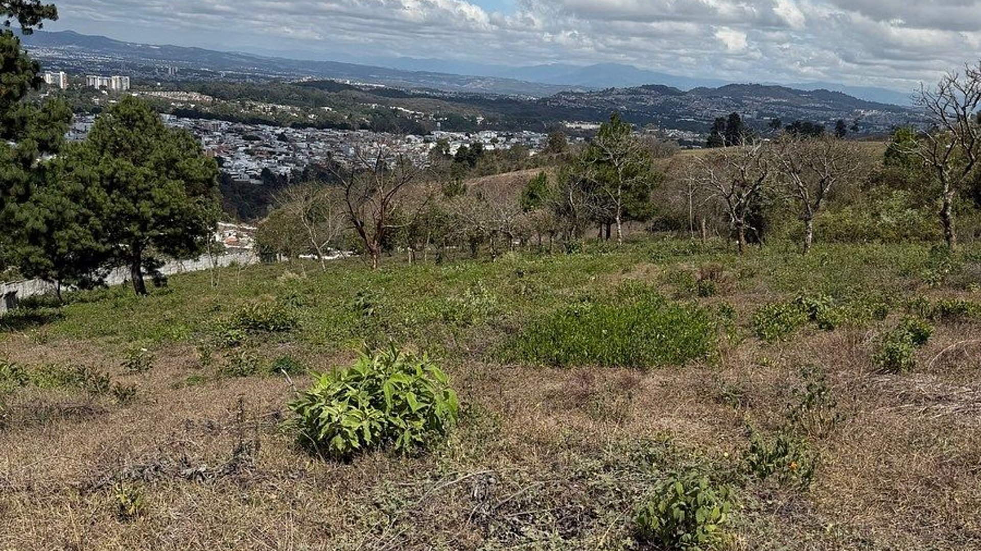 Terreno en renta en Zona 16, camino al Pulte - Miniatura 5
