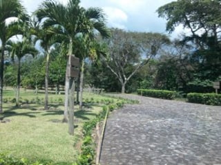 TERRENO  GRANDE EN CAMPO AVENTURA  PALÍN - 4