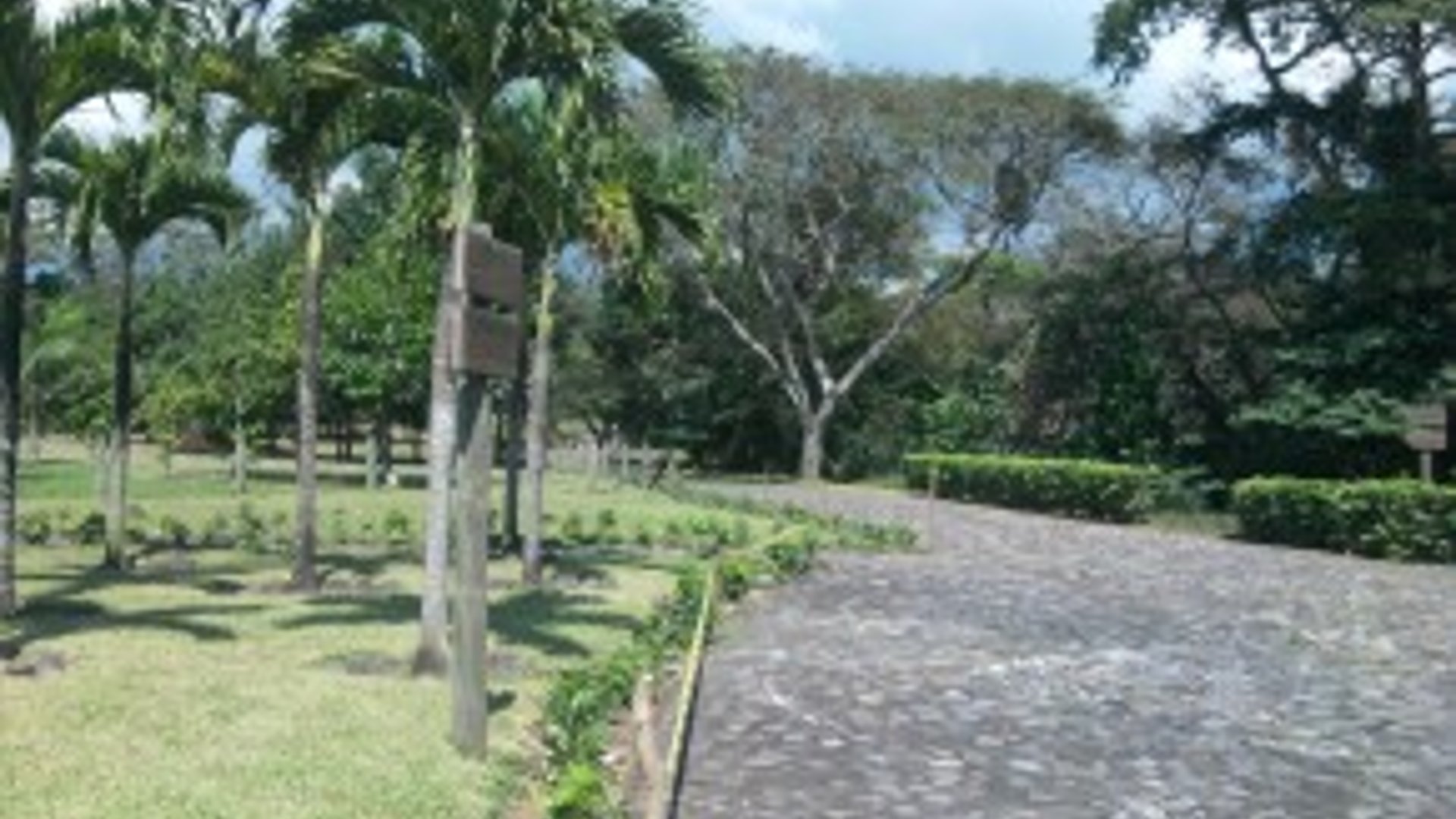 TERRENO  GRANDE EN CAMPO AVENTURA  PALÍN - Miniatura 4