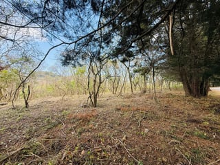 VENTA DE AMPLIOS TERRENOS - CASA & CAMPO, KM 23.5 CES - 4