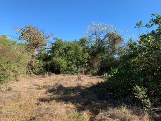 Terreno en venta, Monterrico Santa Rosa - 3