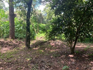 TERRENO EN VENTA EN EL ENCINAL, MIXCO - 4