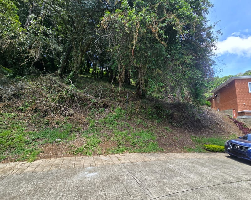 Terreno Grande en Venta en Condominio Exclusivo Colinas de Castel‼️