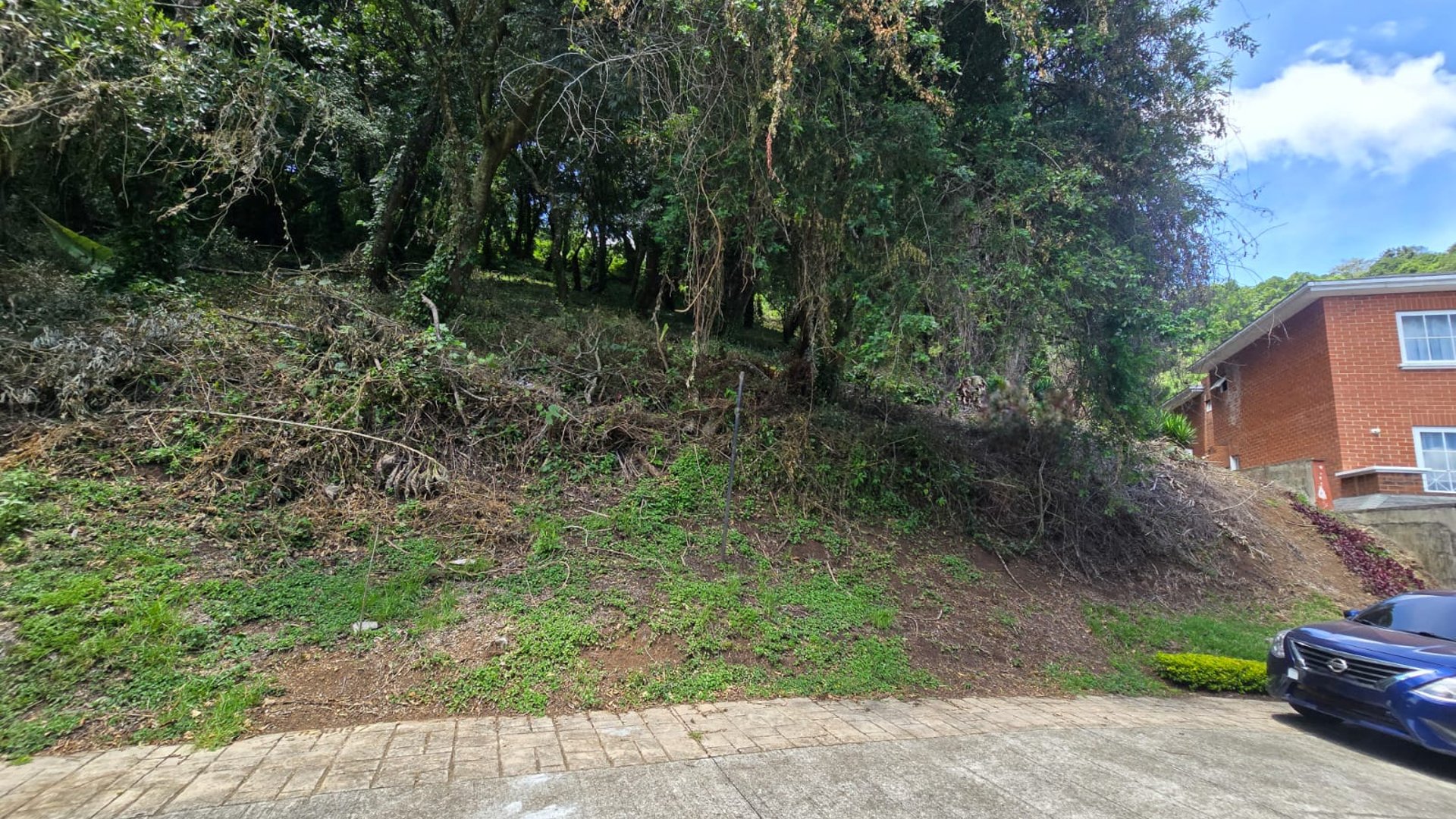 Terreno Grande en Venta en Condominio Exclusivo Colinas de Castel‼️