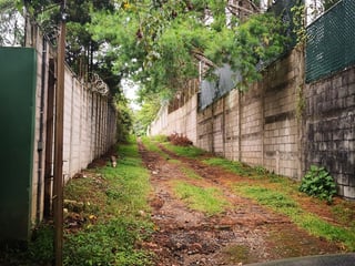 Terreno en Venta en Muxbal - 4