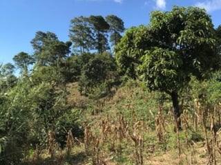 Finca en venta en San Pedro Ayampuc de 7.6 Manzanas - Image 16