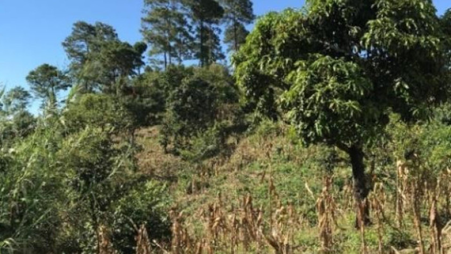 Finca en venta en San Pedro Ayampuc de 7.6 Manzanas - Miniatura 16
