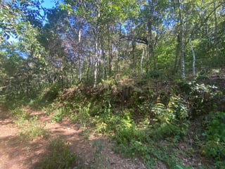 Terreno en Venta 1 manzana en El Encinal, Zona 7 ref-6135 - 4
