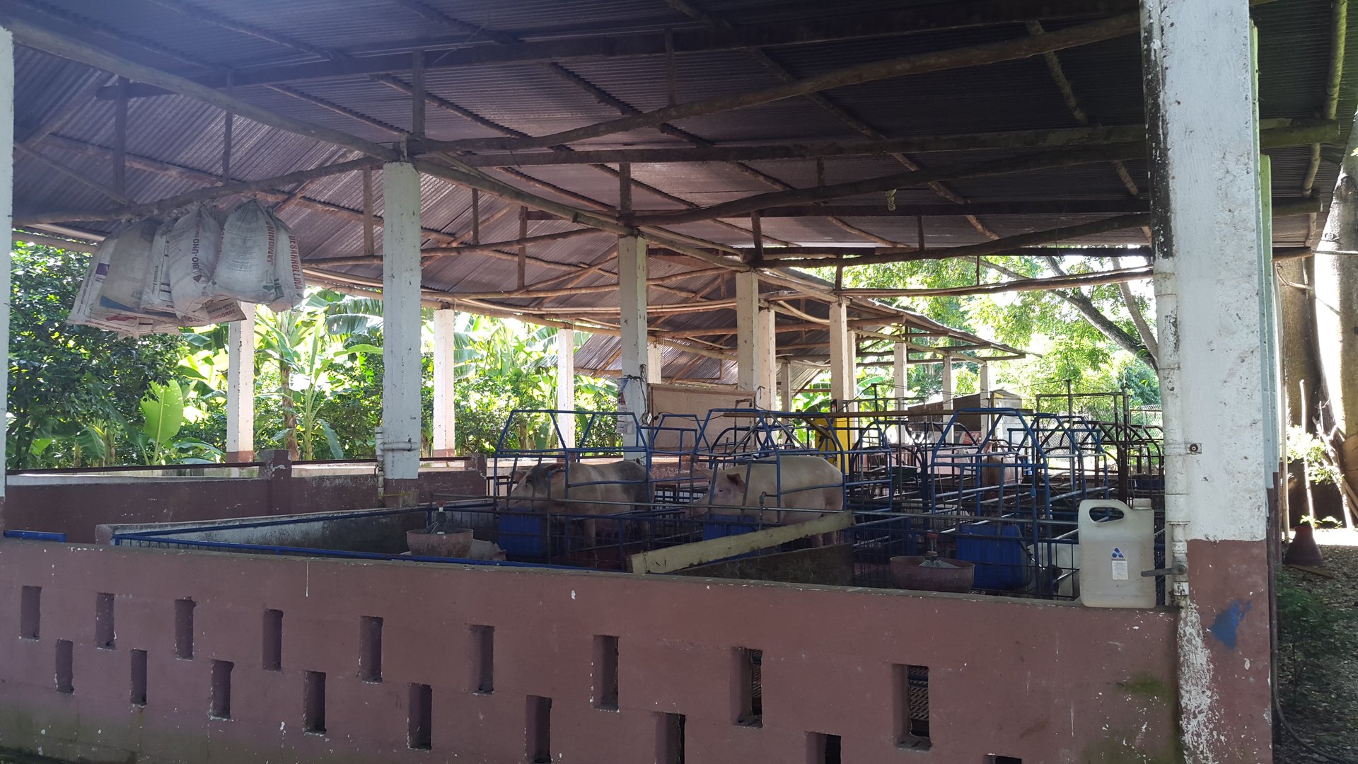FINCA EN VENTA EN ALDEA EL SAUCE  - Miniatura 18