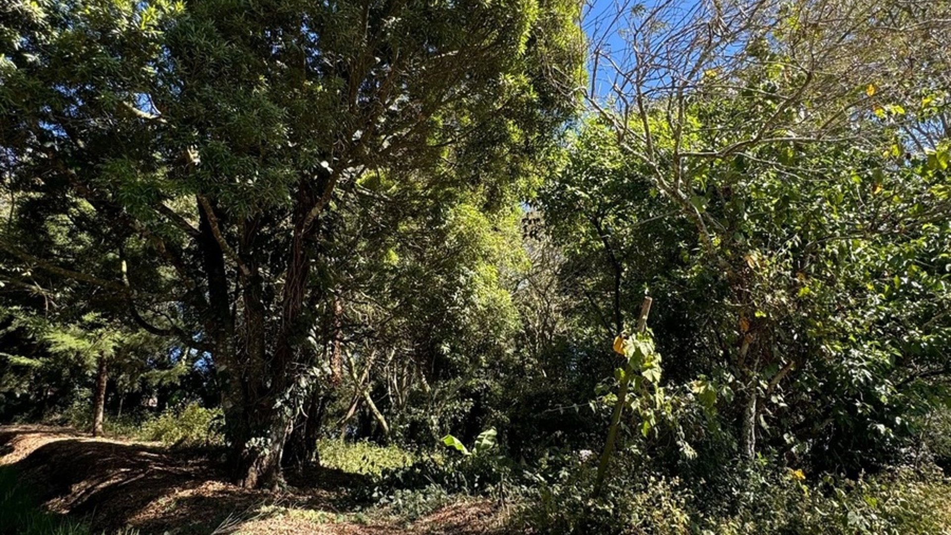 SAN GERMAN DE LA MONTAÑA / Casa en venta con Amplio Terreno, CES