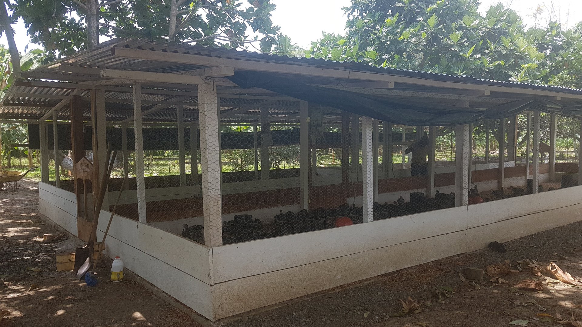 FINCA EN VENTA EN ALDEA EL SAUCE  - Miniatura 37
