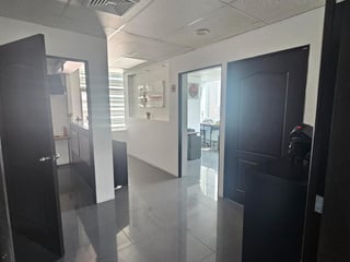 Oficina en renta zona 15 / Domani - 2