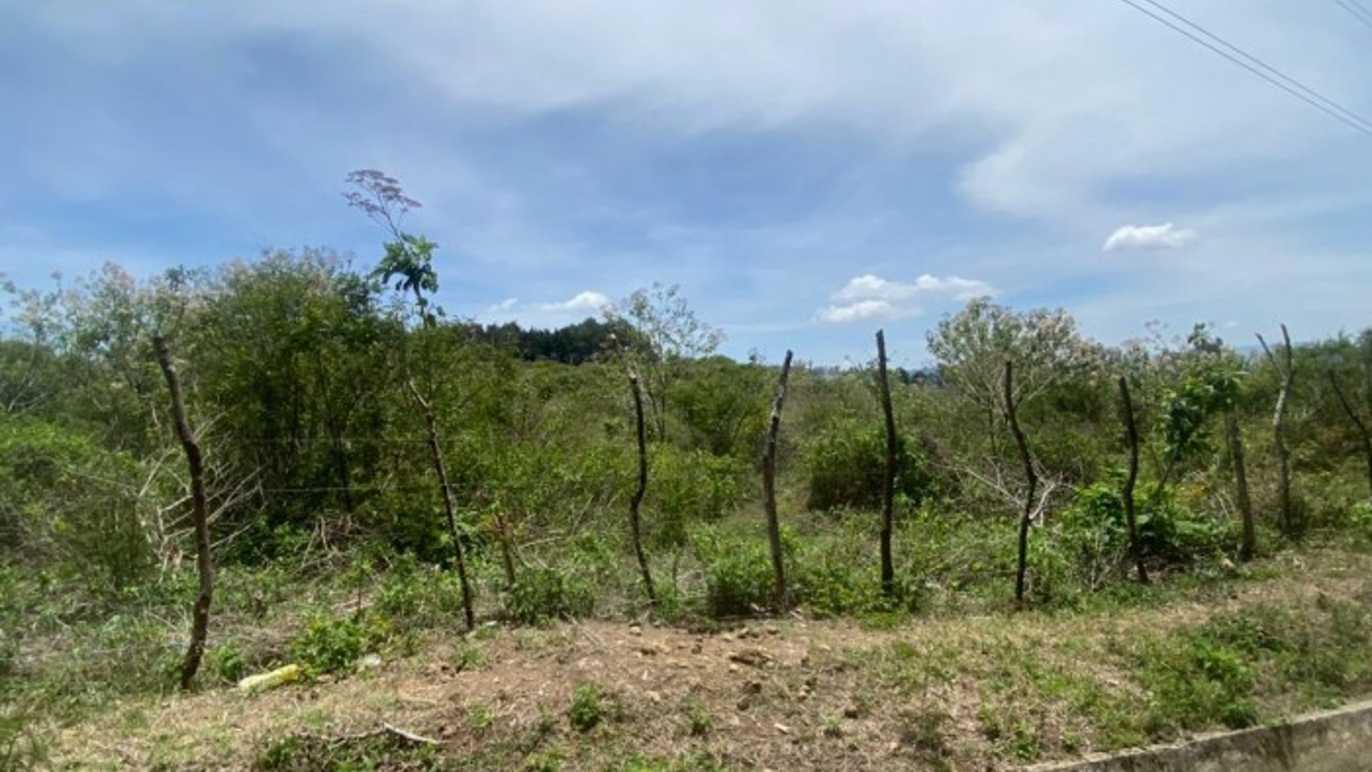 Finca en el km21 carretera a Fraijanes - Miniatura 3