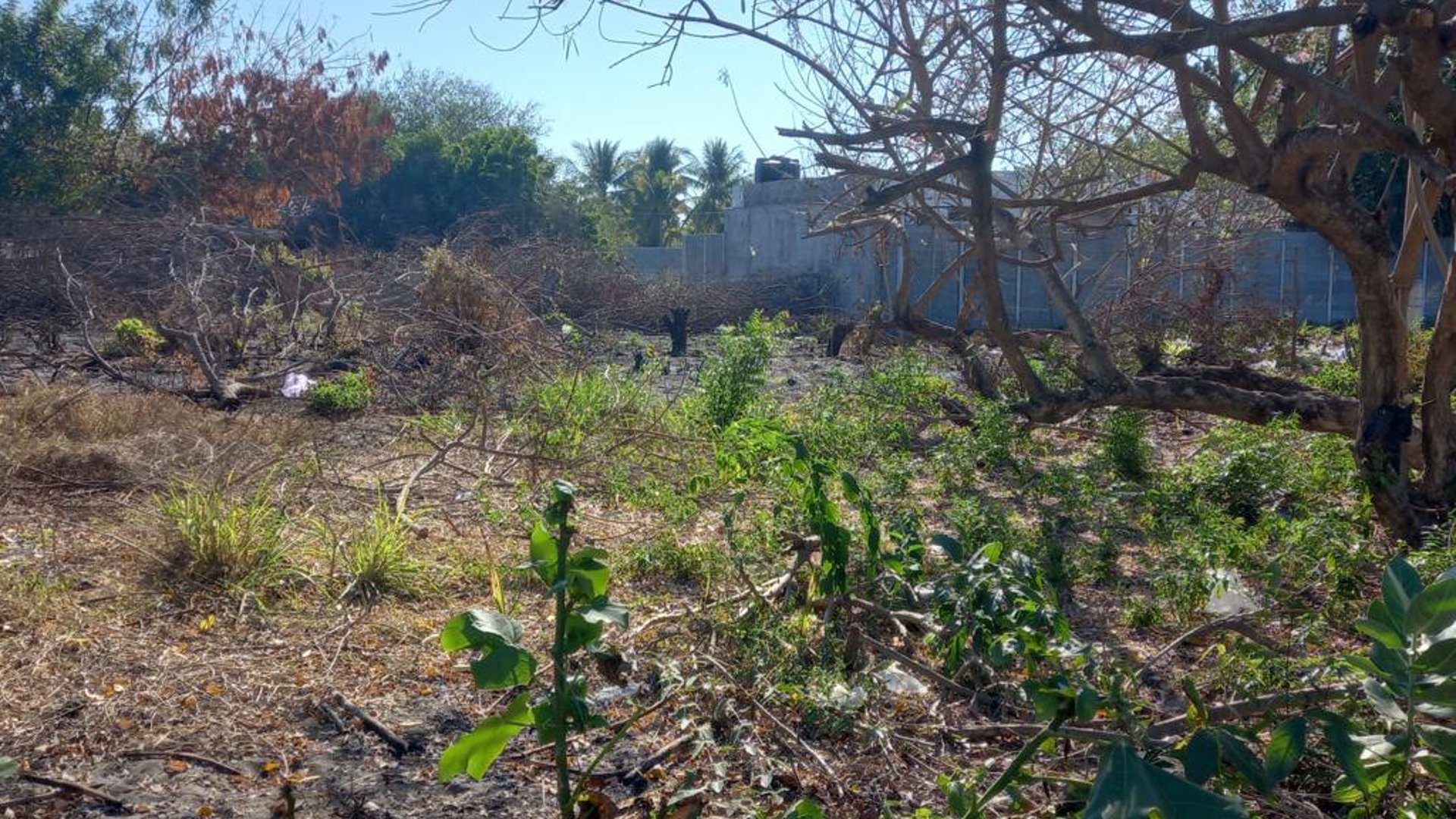 Terreno en venta camino a Monterrico - Miniatura 7