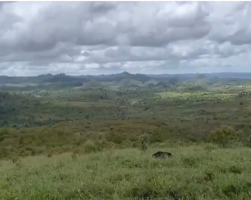 FINCA PROPIEDAD FORESTAL Y DE CONSERVACIÓN EN PETÉN