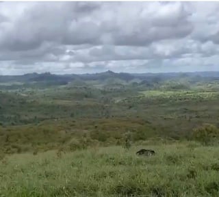 FINCA PROPIEDAD FORESTAL Y DE CONSERVACIÓN EN PETÉN