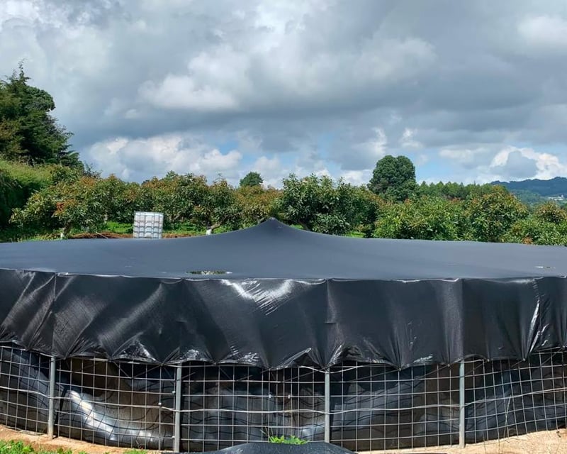 Finca en Producción de Aguacate Hass | 5.88 Mz en Chimaltenango