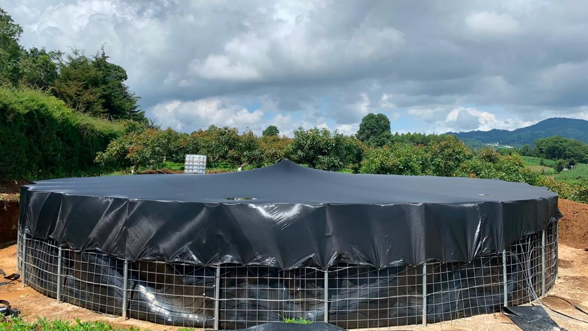 Finca en Producción de Aguacate Hass | 5.88 Mz en Chimaltenango