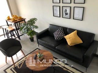 APARTAMENTO AMOBLADO TIPO LOFT EN RENTA, Z. 15 - 2